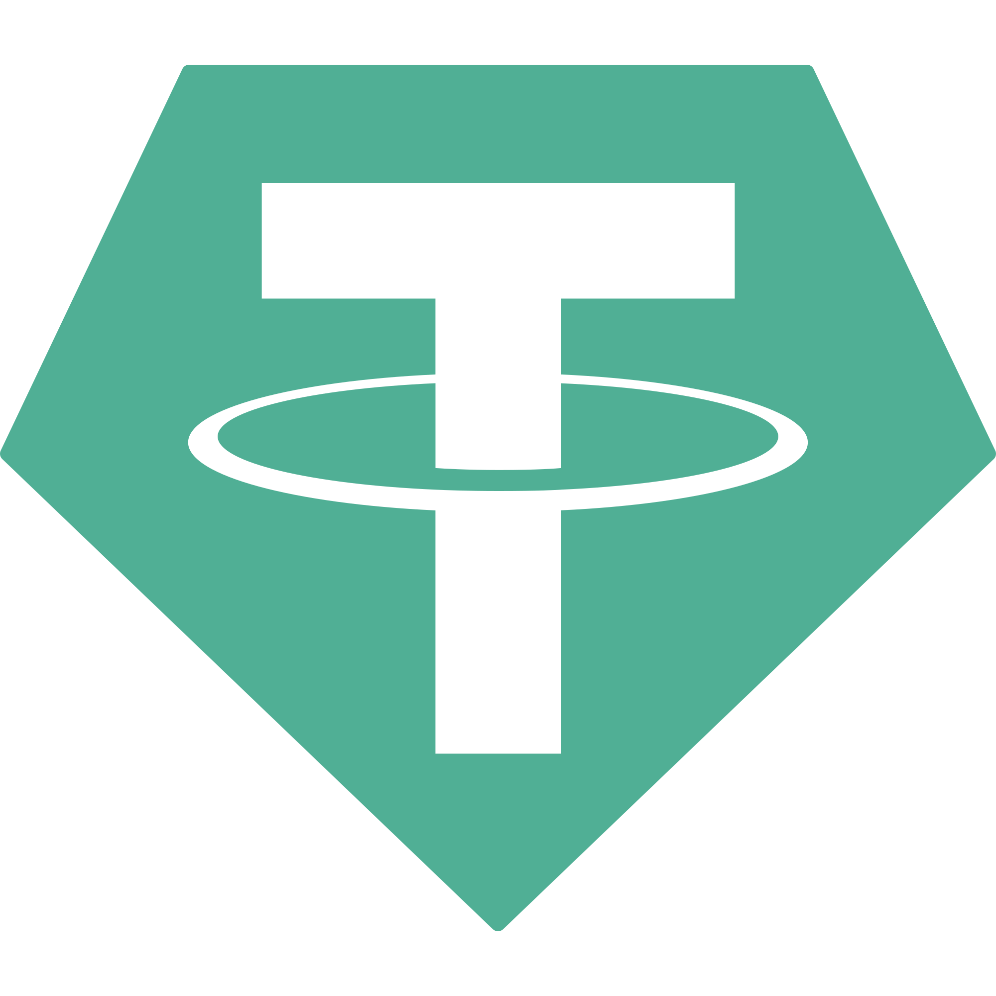 USDT Logo